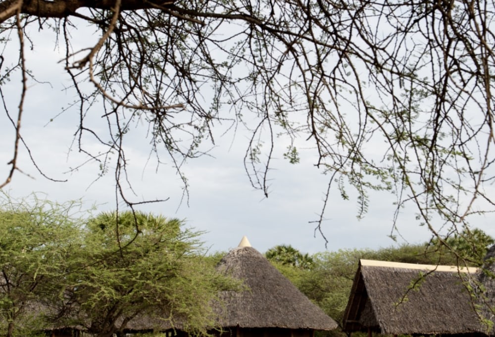 Das Severin Safari Camp